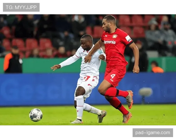 赖斯传球能力：组织参与度与进攻贡献分析