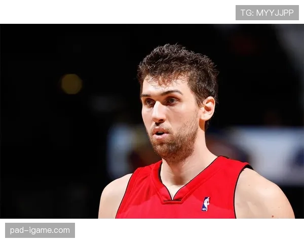 巴尼亚尼核心内线挡拆拉开空位提升篮板掌控力