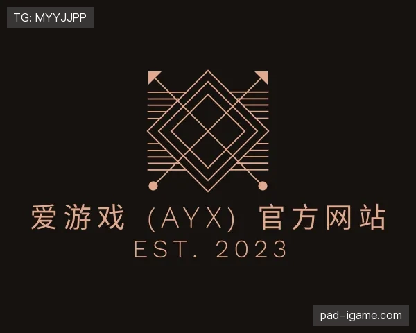 认识aiyouxi